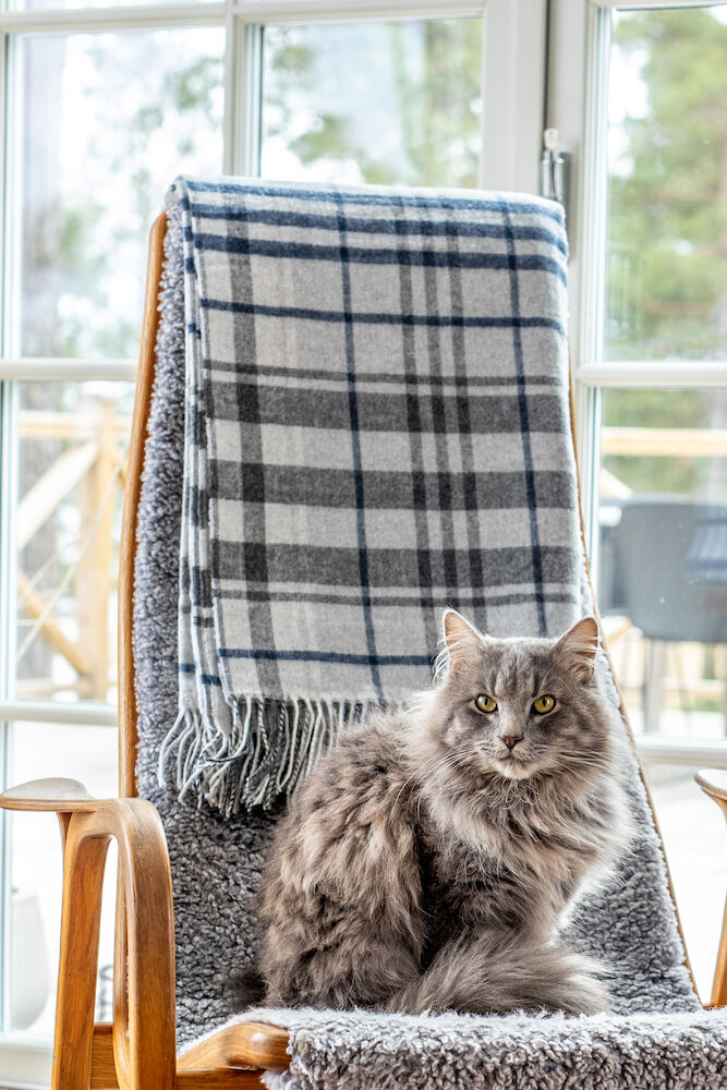 Pledd Tanger Kosta Linnewäfveri