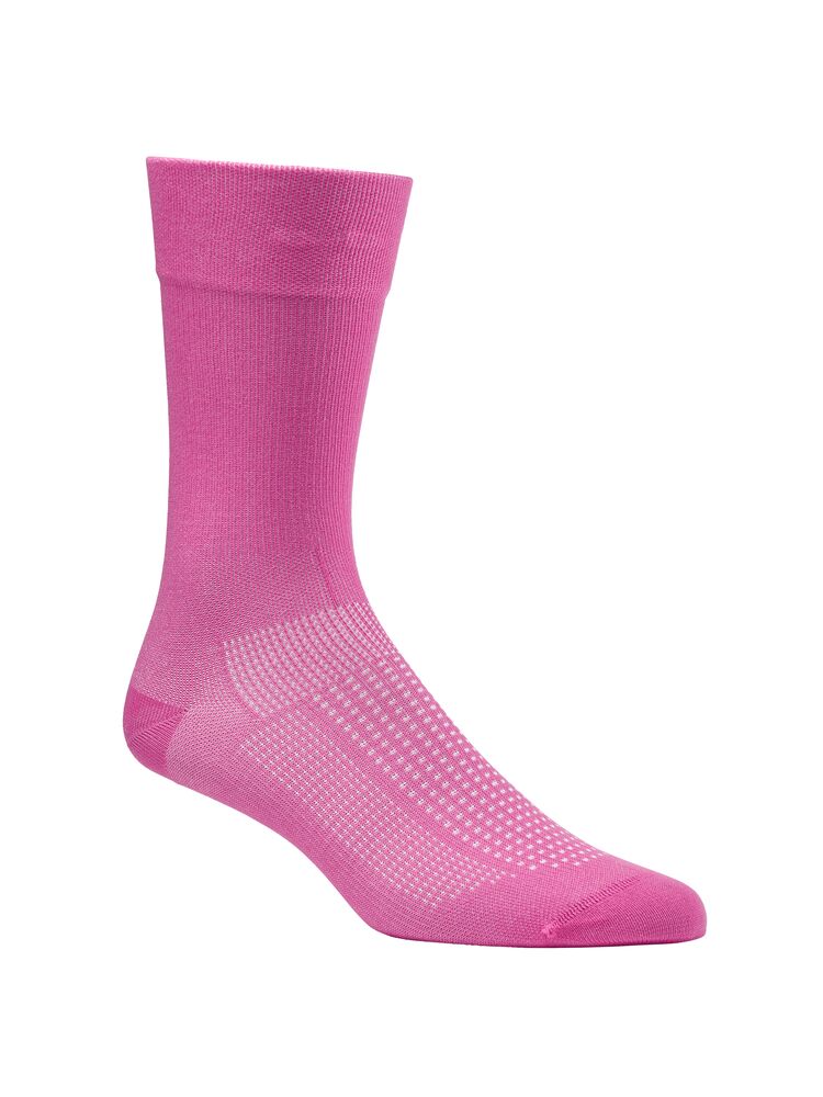 Magenta / 34/36