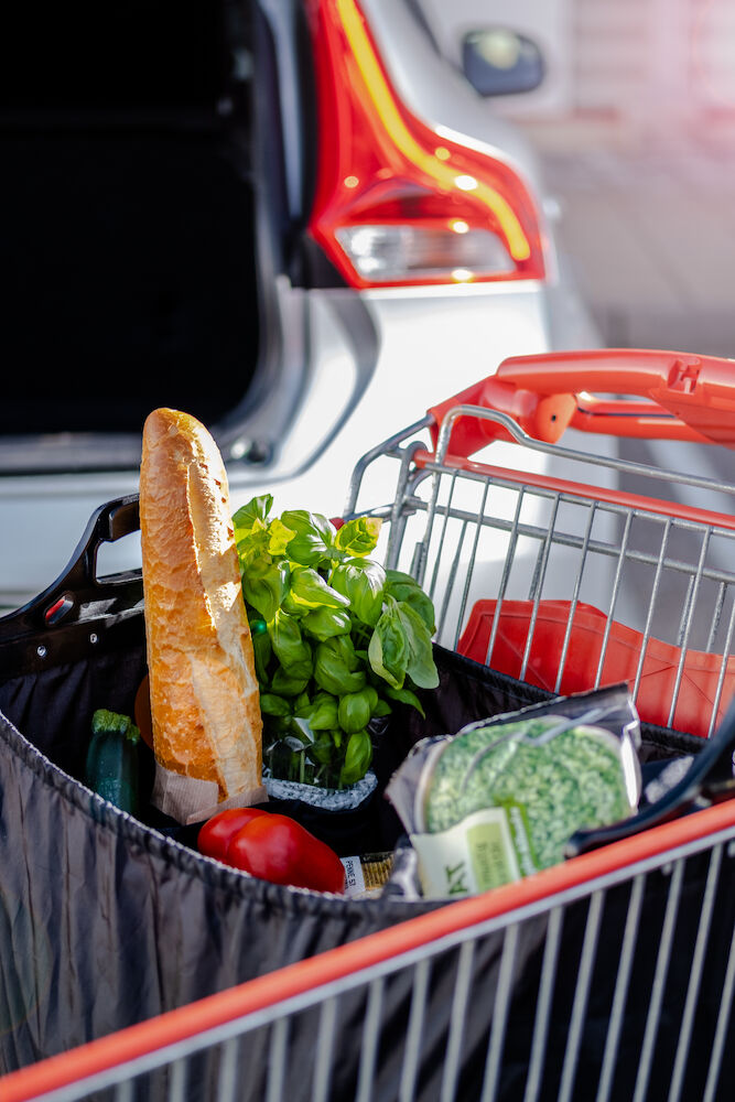 Shopping Bag